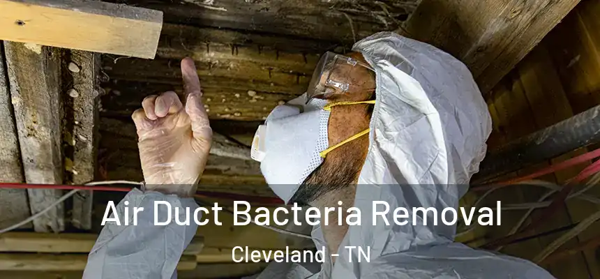 Air Duct Bacteria Removal Cleveland - TN