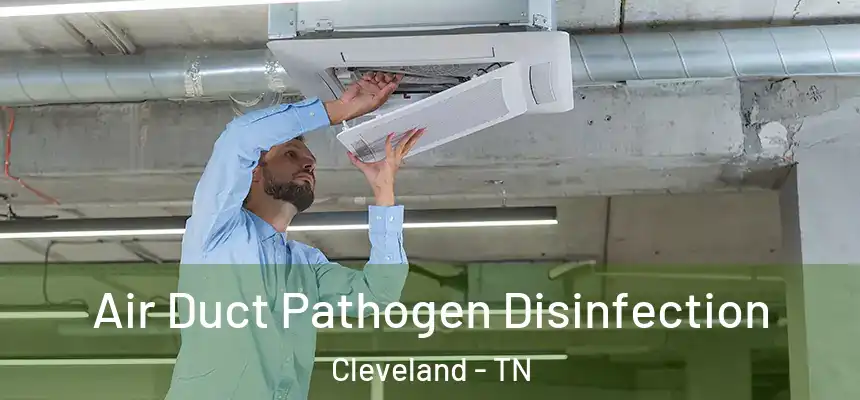 Air Duct Pathogen Disinfection Cleveland - TN