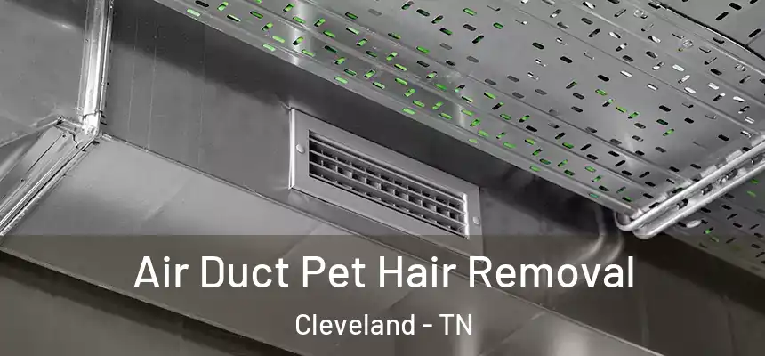  Air Duct Pet Hair Removal Cleveland - TN