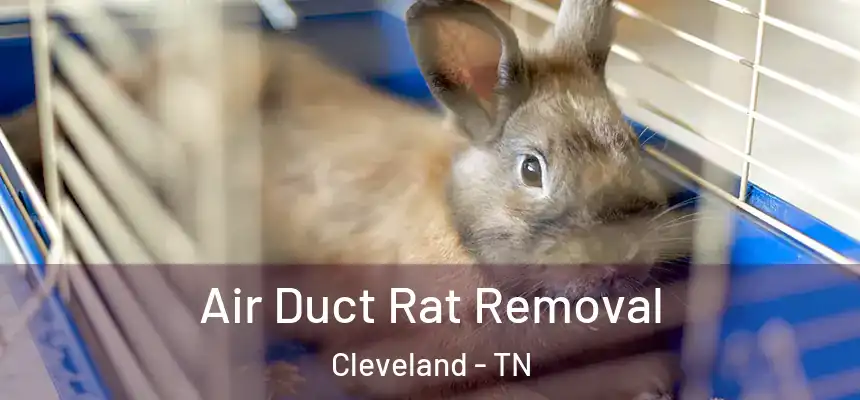 Air Duct Rat Removal Cleveland - TN