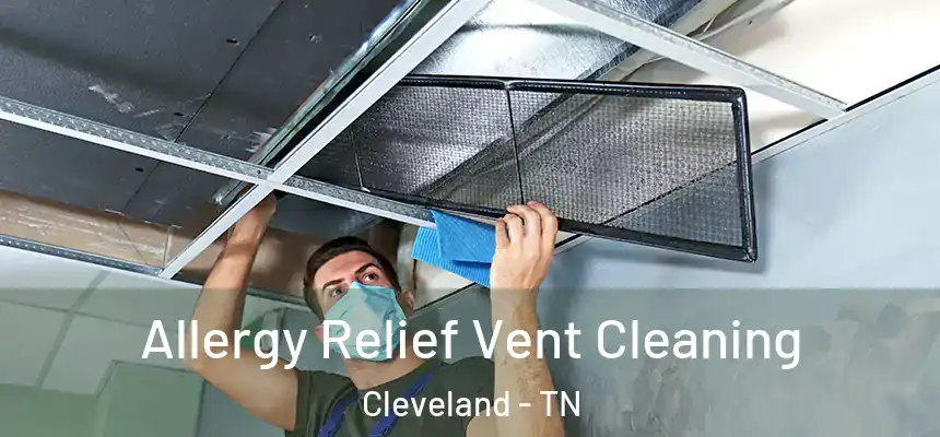 Allergy Relief Vent Cleaning Cleveland - TN