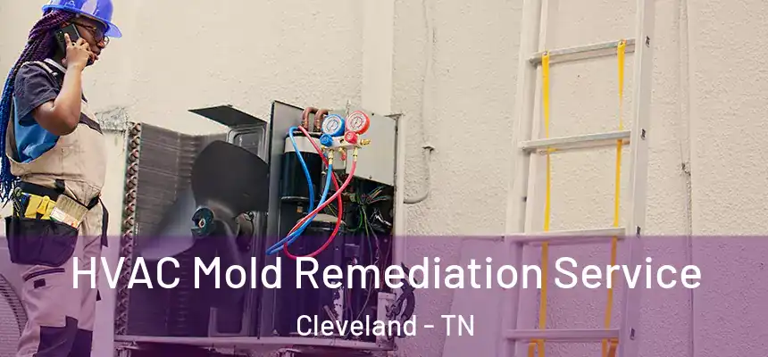  HVAC Mold Remediation Service Cleveland - TN