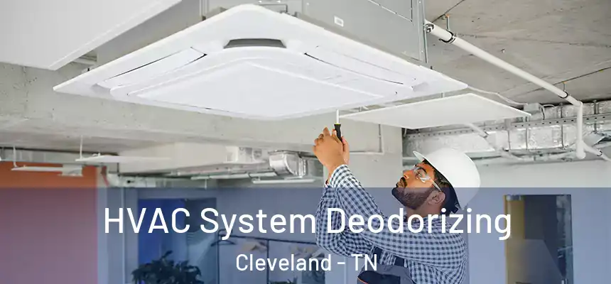  HVAC System Deodorizing Cleveland - TN