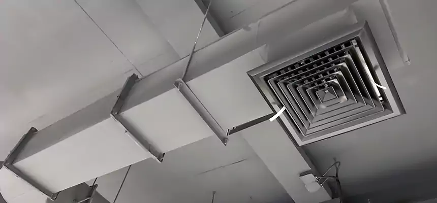 Our Pest Removal From Ducts Services in Cleveland, TN