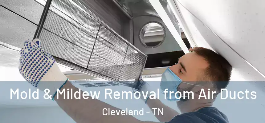 Mold & Mildew Removal from Air Ducts Cleveland - TN