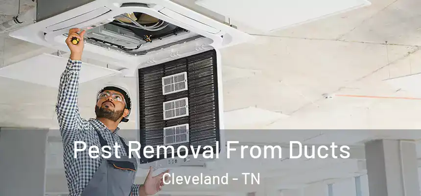 Pest Removal From Ducts Cleveland - TN
