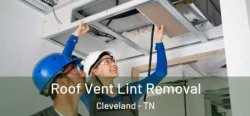  Roof Vent Lint Removal Cleveland - TN