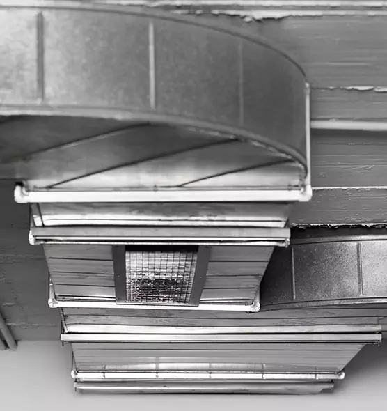 Professional Air Duct Pet Hair Removal in Cleveland, TN