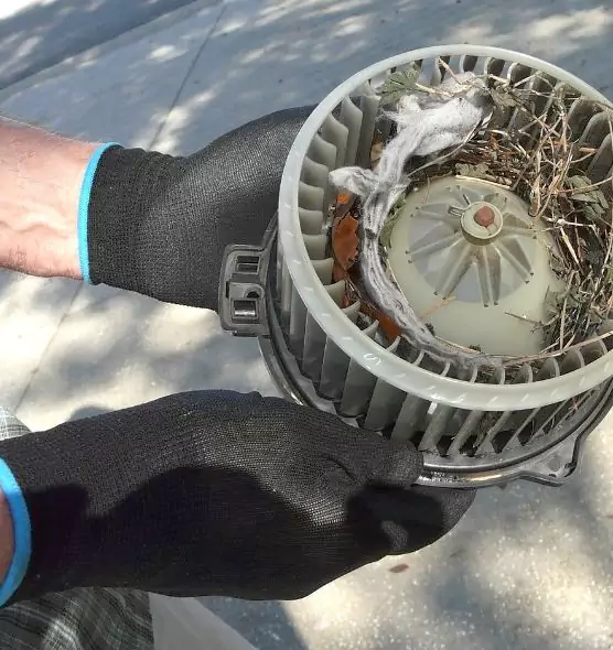 About Air Duct Rat Removal in Cleveland, TN