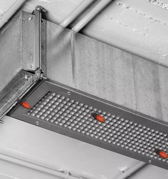 Affordable Insect Removal from Air Ducts in Cleveland, TN