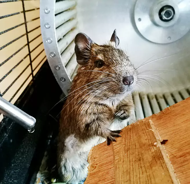 Why Homeowners & Businesses Trust Us Cleveland, TN?