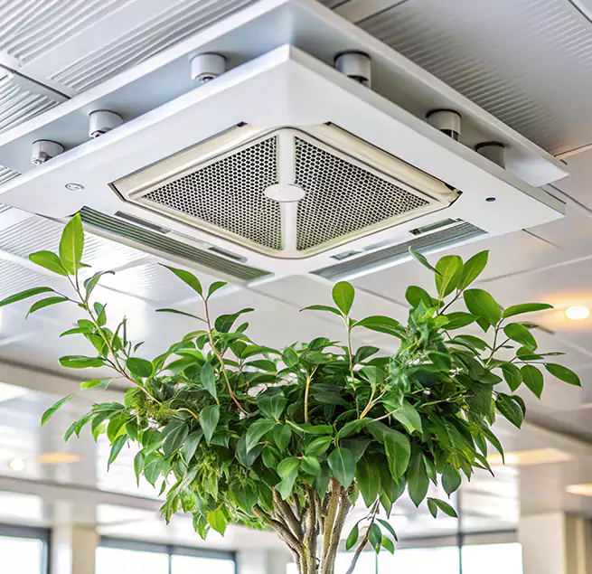 Why Homeowners & Businesses Trust Us in Cleveland, TN?